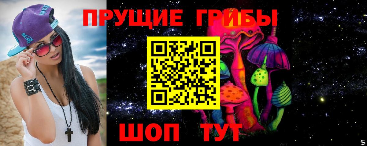 Прохладный  Галлюциногенные грибы мицелий  Вход с VPN 